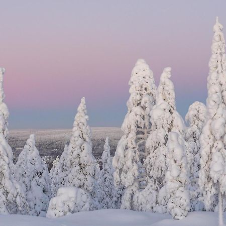 Northern Bliss Hideaway Rovaniemi Extérieur photo