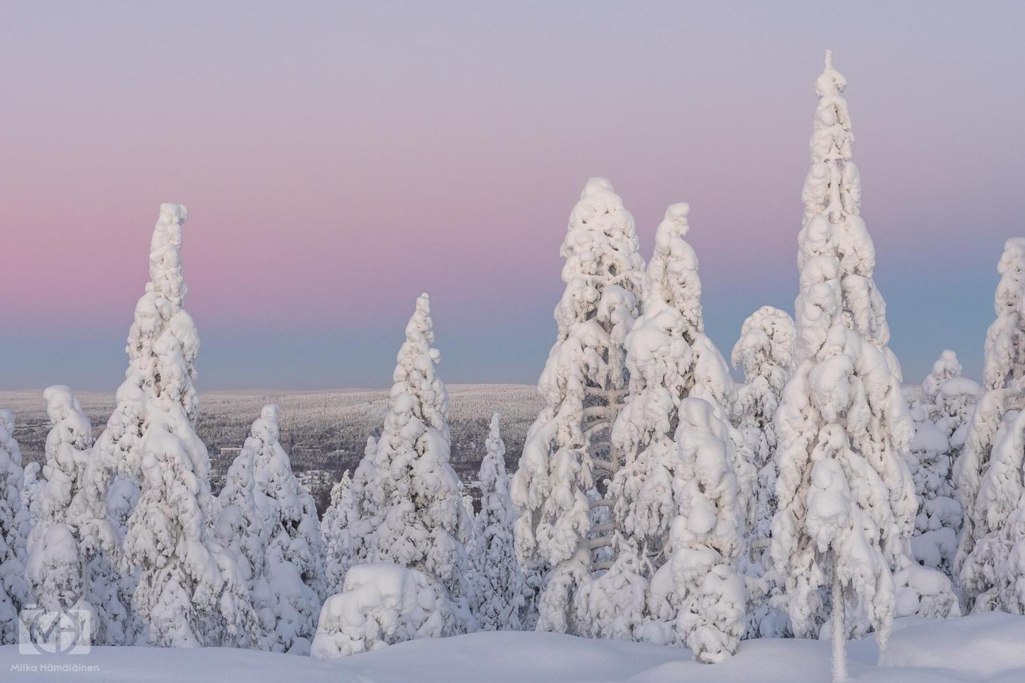 Northern Bliss Hideaway Rovaniemi Extérieur photo